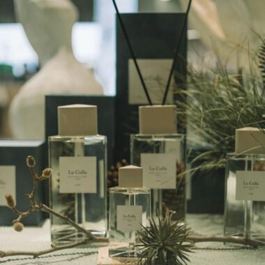 Sophisticated perfume bottles surrounded by organic materials in a chic indoor setting.